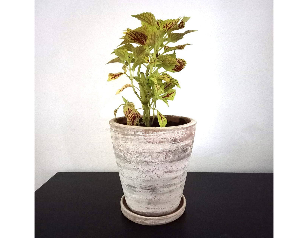 Concrete White-washed Terracotta Planter with Drainage Plate, Home Decor Housewarming Gift for Her
