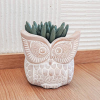 Handmade Terracotta Owl Planter, Indoor Succulent, Herb or Flower Pot | Housewarming Gift