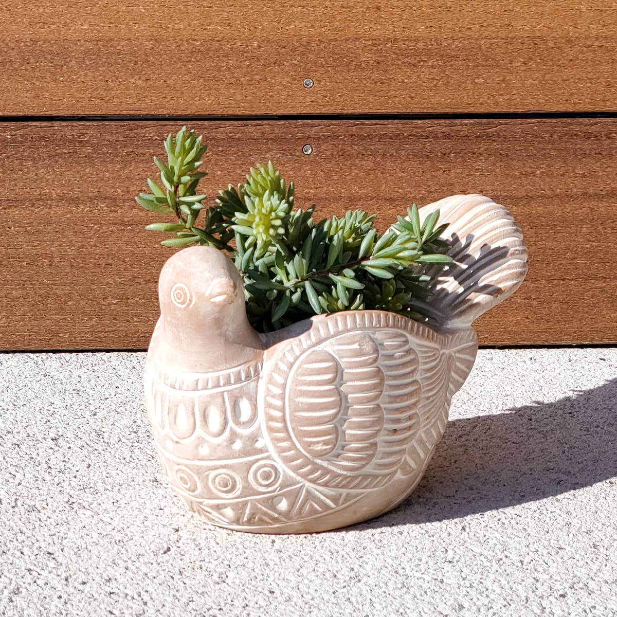 Handmade Terracotta Turtle Dove Planter, Indoor Succulent, Herb or Flower Pot | Housewarming Gift