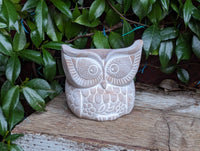 Handmade Terracotta Owl Planter, Indoor Succulent, Herb or Flower Pot | Housewarming Gift