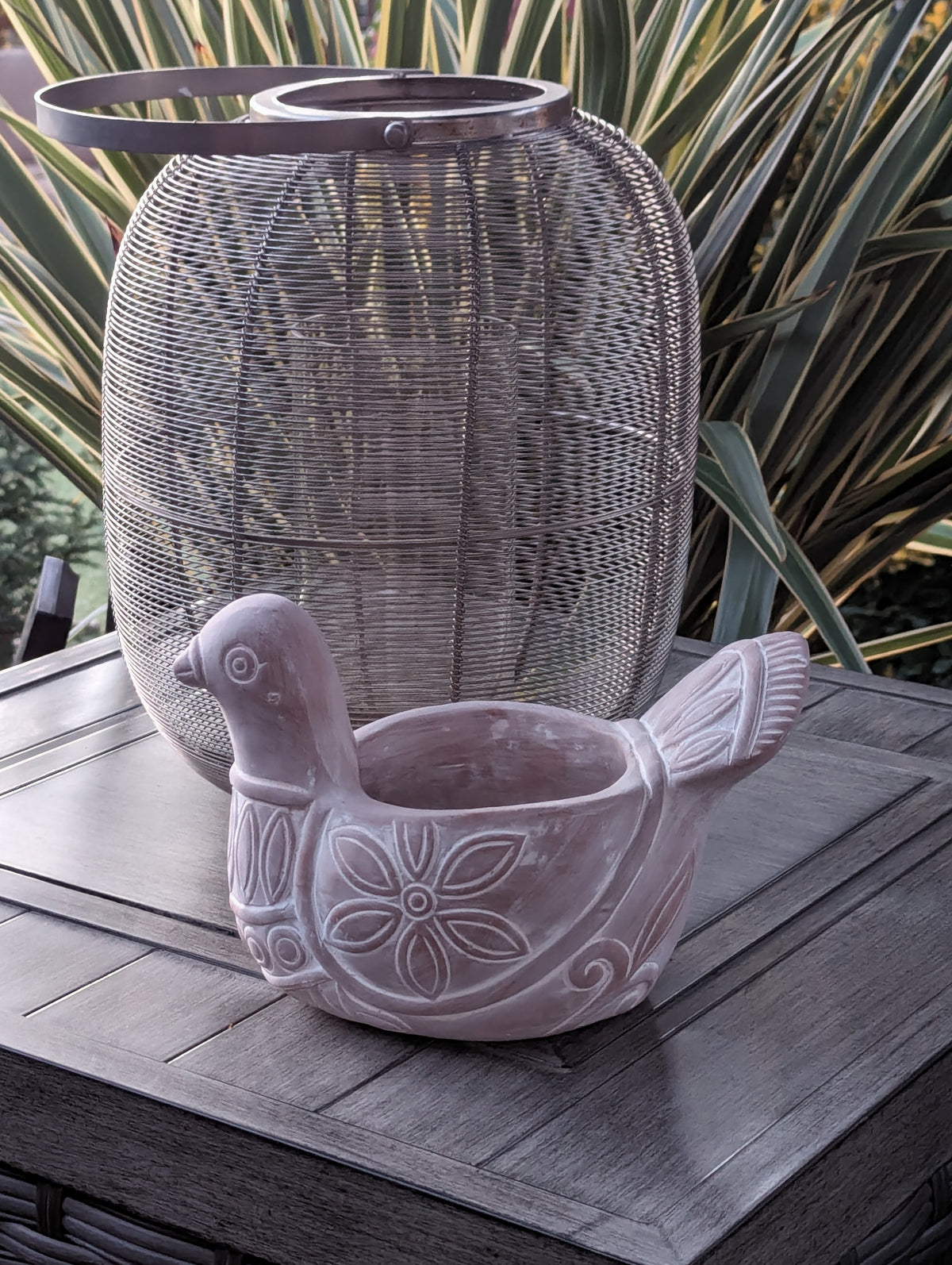 Handmade Terracotta Spotted Dove Planter, Indoor Succulent, Herb or Flower Pot | Housewarming Gift