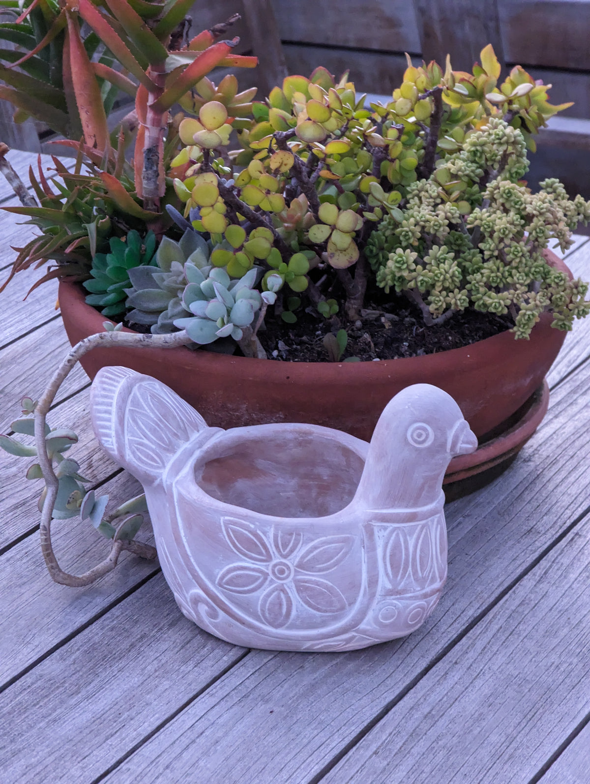 Handmade Terracotta Spotted Dove Planter, Indoor Succulent, Herb or Flower Pot | Housewarming Gift