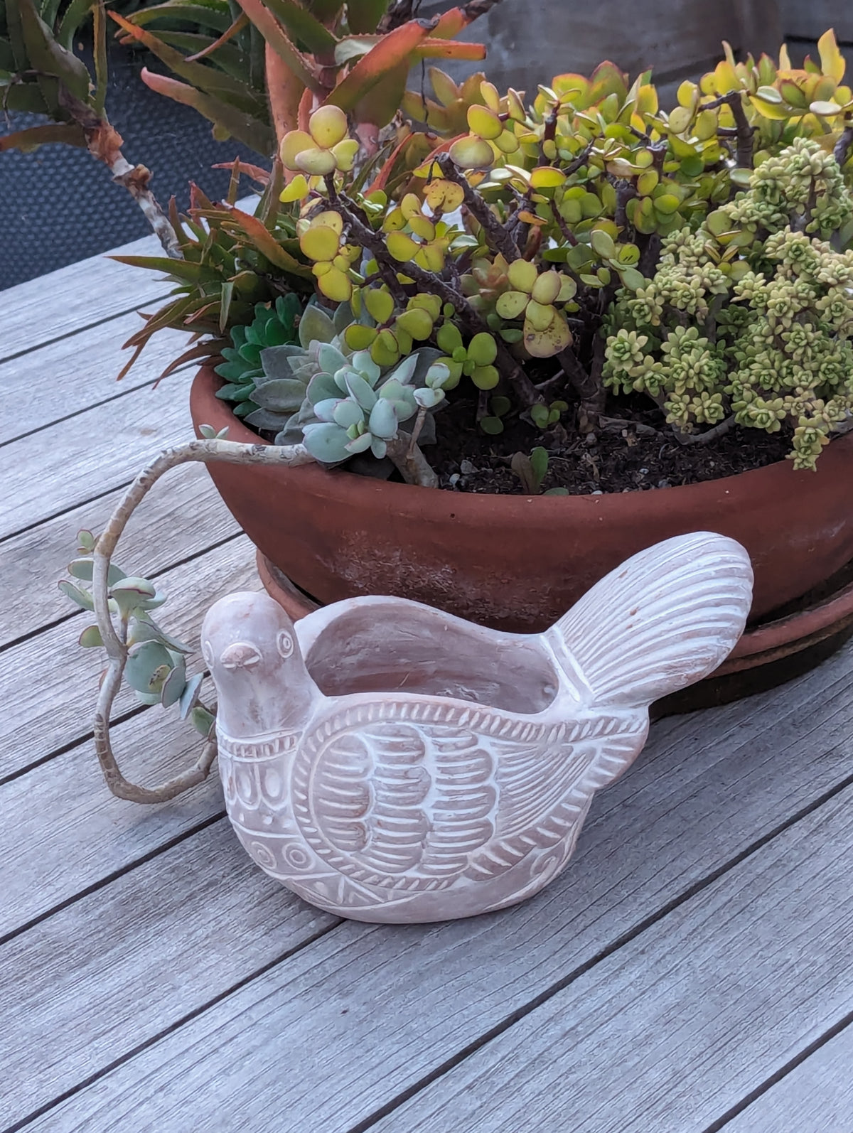 Handmade Terracotta Turtle Dove Planter, Indoor Succulent, Herb or Flower Pot | Housewarming Gift
