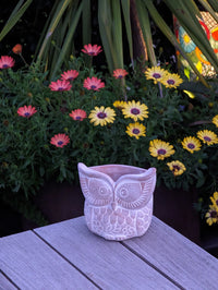 Handmade Terracotta Owl Planter, Indoor Succulent, Herb or Flower Pot | Housewarming Gift