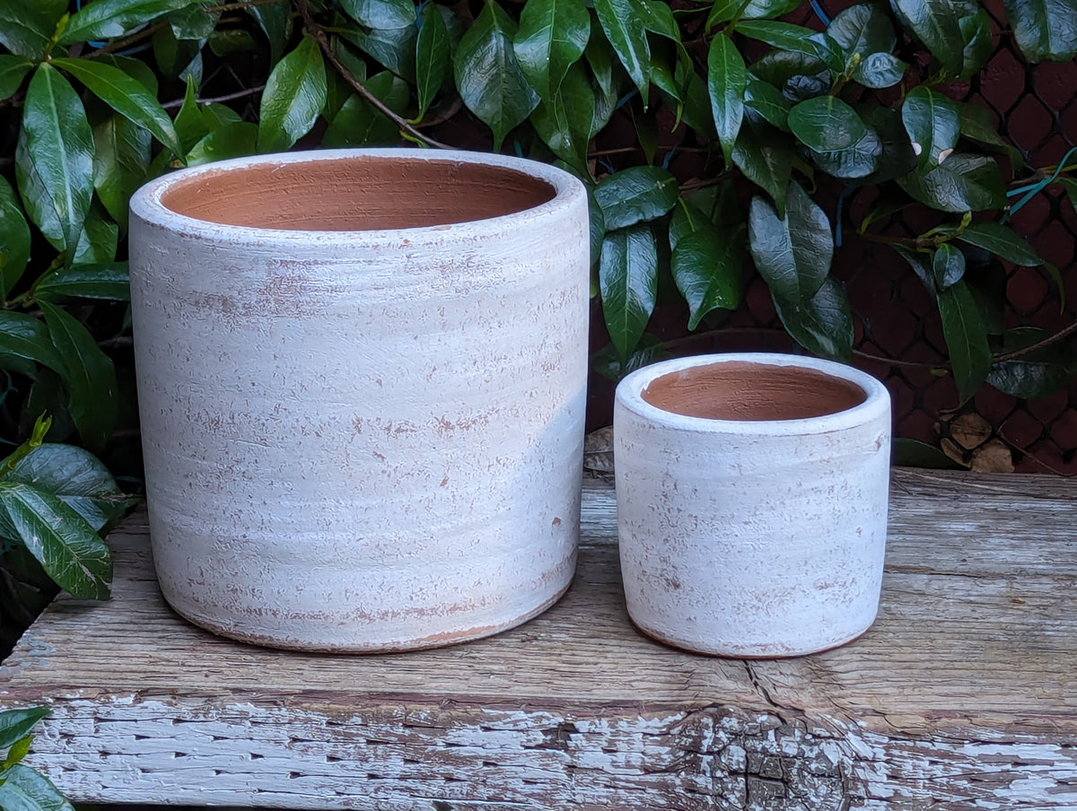 Concrete White-Washed Terracotta Cylinder Planters, Set of 2 Flower Pots from Nicaragua