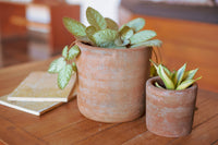Concrete White-Washed Terracotta Cylinder Planters, Set of 2 Flower Pots from Nicaragua