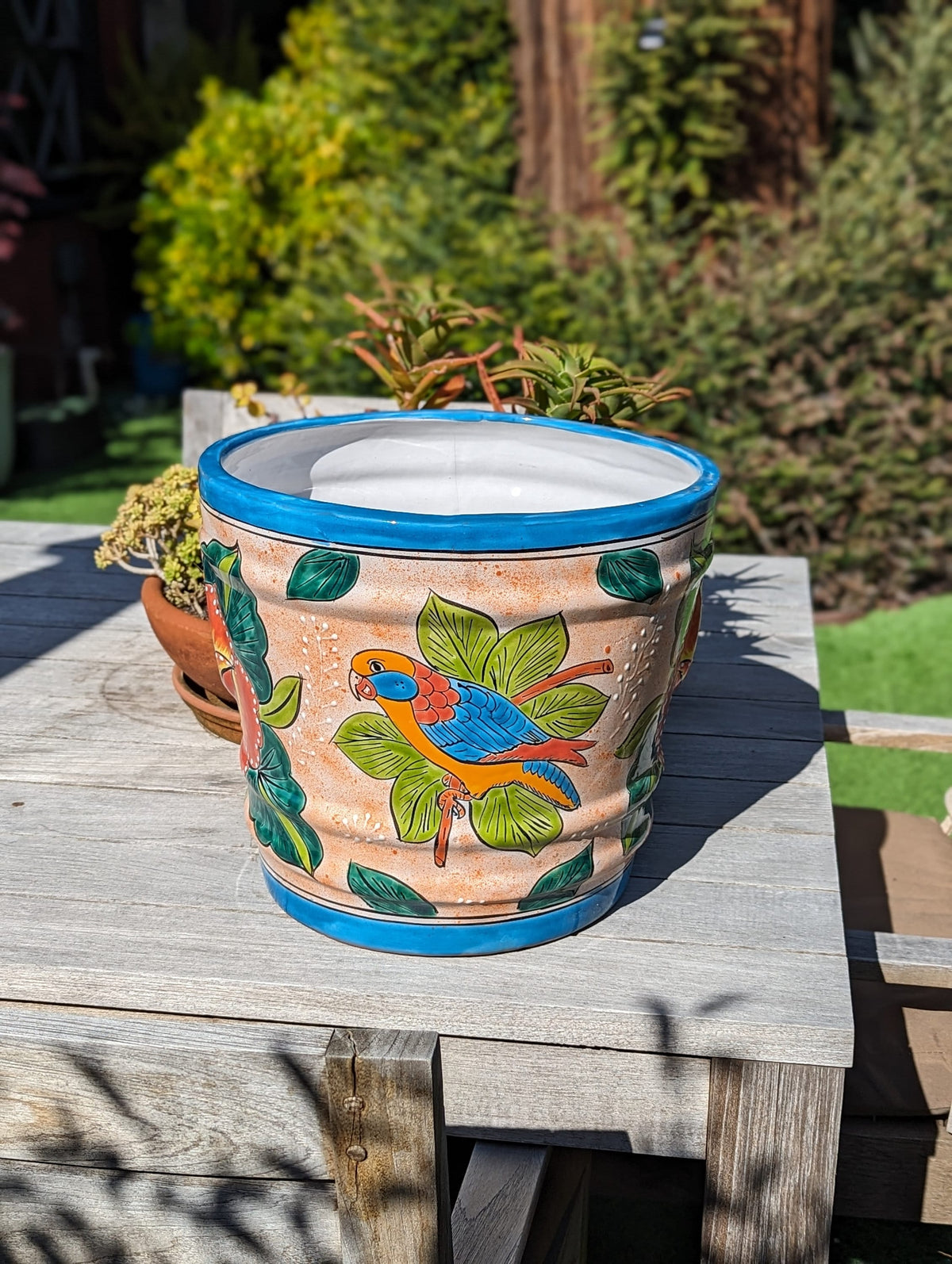 Parrot Flower Pot | 10.5" Round Ceramic Planter is Handmade Mexican Pottery for Outdoor Garden Decor, Indoor Home Decor, or Centerpiece