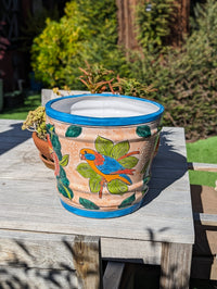 Parrot Flower Pot | 10.5" Round Ceramic Planter is Handmade Mexican Pottery for Outdoor Garden Decor, Indoor Home Decor, or Centerpiece