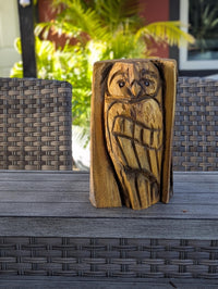 Barn Owl Outdoor Decor | Original Chainsaw Yard Art to Enhance Your Porch, Patio, Garden or Backyard with this Nocturnal, Moonlight Guardian