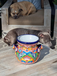 A colorful Talavera ceramic round flower pot with blue trim and handles, displayed outdoors.