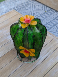 Cactus Garden Decor | Cactus Decorations for Your Yard or Home are Hand Painted Lifelike Metal Cactus - Mexican Yard Art to Enjoy at Home