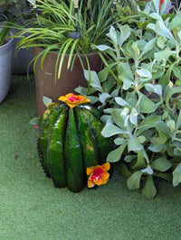 Barrel Cactus Garden Decor | Cactus Decoration for Your Yard or Home is Hand Painted Lifelike Metal Cactus, Mexican Yard Art - Enjoy at Home
