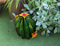 Barrel Cactus Garden Decor | Cactus Decoration for Your Yard or Home is Hand Painted Lifelike Metal Cactus, Mexican Yard Art - Enjoy at Home