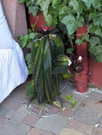 Cactus Garden Decor | Cactus Decorations for Your Yard or Home are Hand Painted Lifelike Metal Cactus - Mexican Yard Art to Enjoy at Home