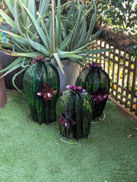 Cactus Family Garden Decor | 3 Cactus Decorations for Your Yard or Home | Hand Painted Lifelike Metal Cactus is Stunning Mexican Garden Art