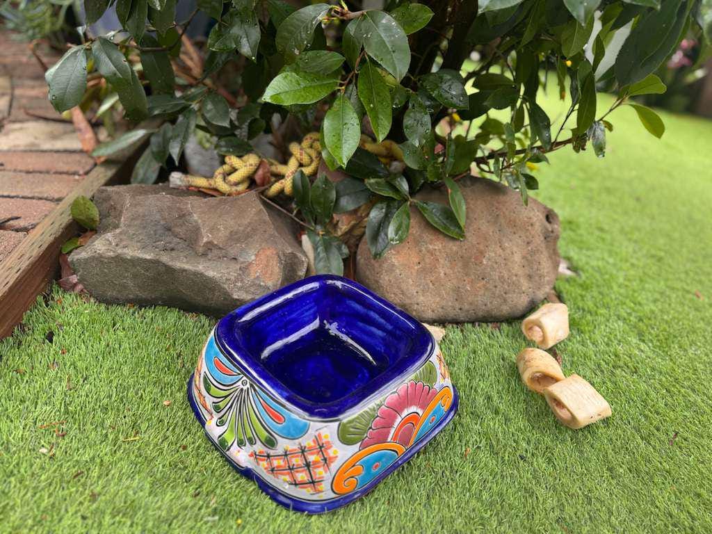 Talavera Dog Bowl: Hand-Painted Ceramic Mexican Pet Food Dish