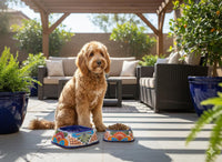 Talavera Dog Bowl: Hand-Painted Ceramic Mexican Pet Food Dish