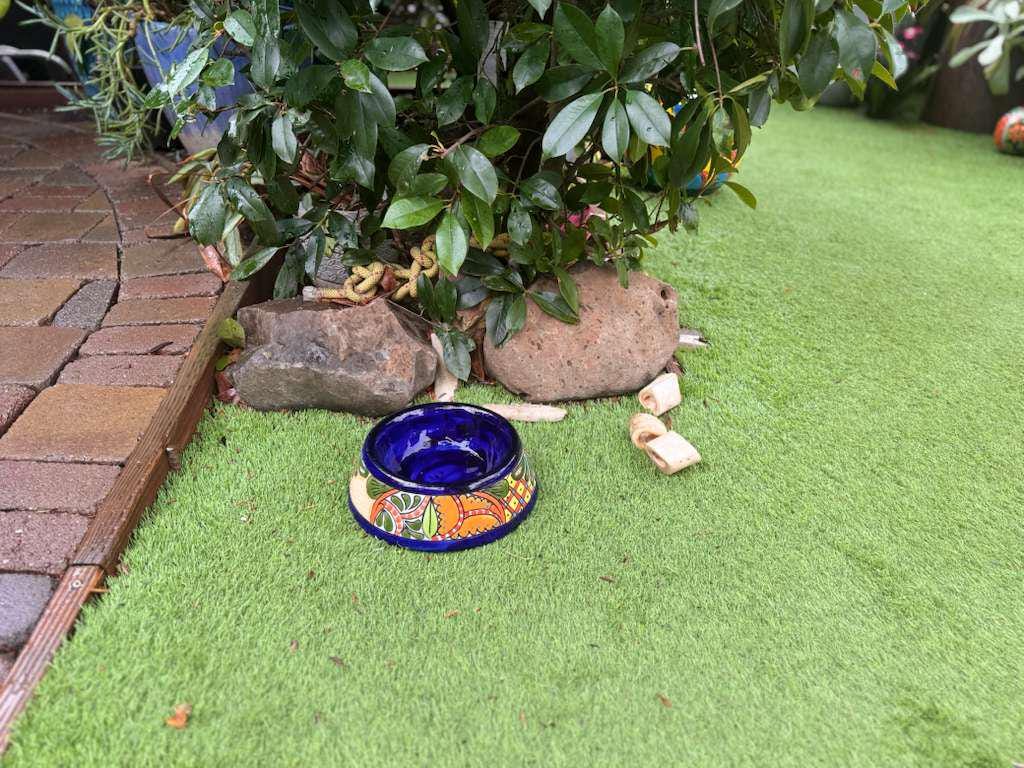 Talavera Dog Bowl: Hand-painted Ceramic Pet Food Dish