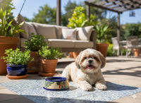 Talavera Dog Bowl: Hand-painted Ceramic Pet Food Dish