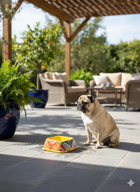 Talavera Dog Bowl: Hand-Painted Ceramic Mexican Pet Food Dish