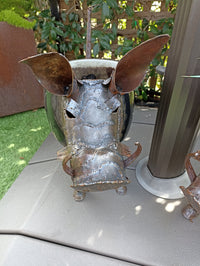 Warthog Planters from Zimbabwe, Made of Recycled African Cooking Pots, Housewarming Gift for Her