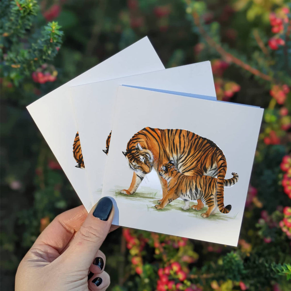 Multipack Tiger Mini Greeting Cards, Four 4x4 Inch Cards