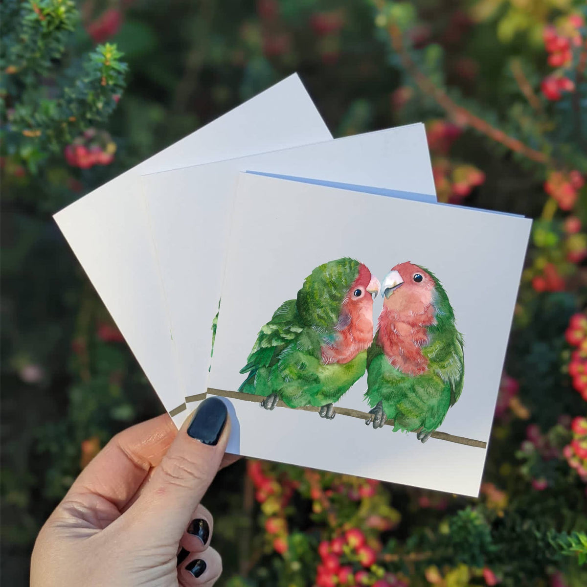 Multipack Lovebird Mini Greeting Cards, Four 4x4 Inch Cards