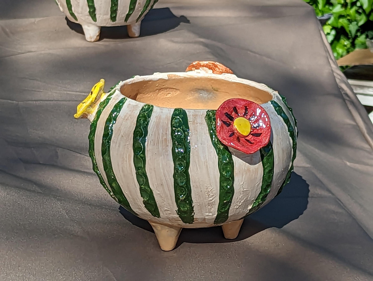 Ceramic Planter, Cactus Flower Pot, Handmade Mexican Pottery from Atzompa, Mexico, Home Decor, Indoor or Outdoor Decor, Charming Plant Pot