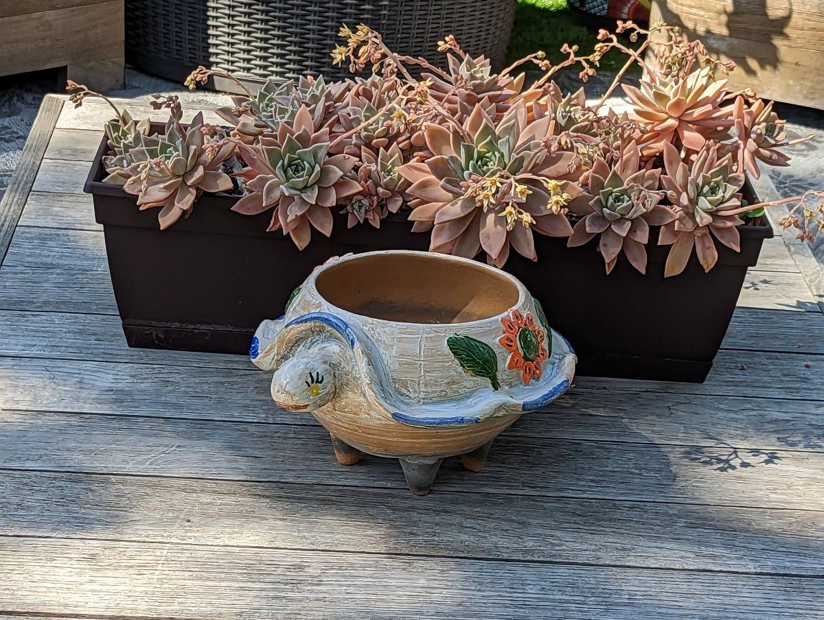 Ceramic Planter, Turtle Flower Pot, Handmade Mexican Pottery from Atzompa, Mexico, Home Decor, Indoor or Outdoor Decor, Charming Plant Pot