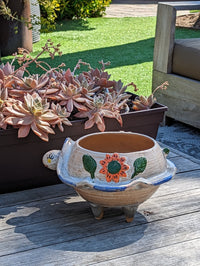 Ceramic Planter, Turtle Flower Pot, Handmade Mexican Pottery from Atzompa, Mexico, Home Decor, Indoor or Outdoor Decor, Charming Plant Pot