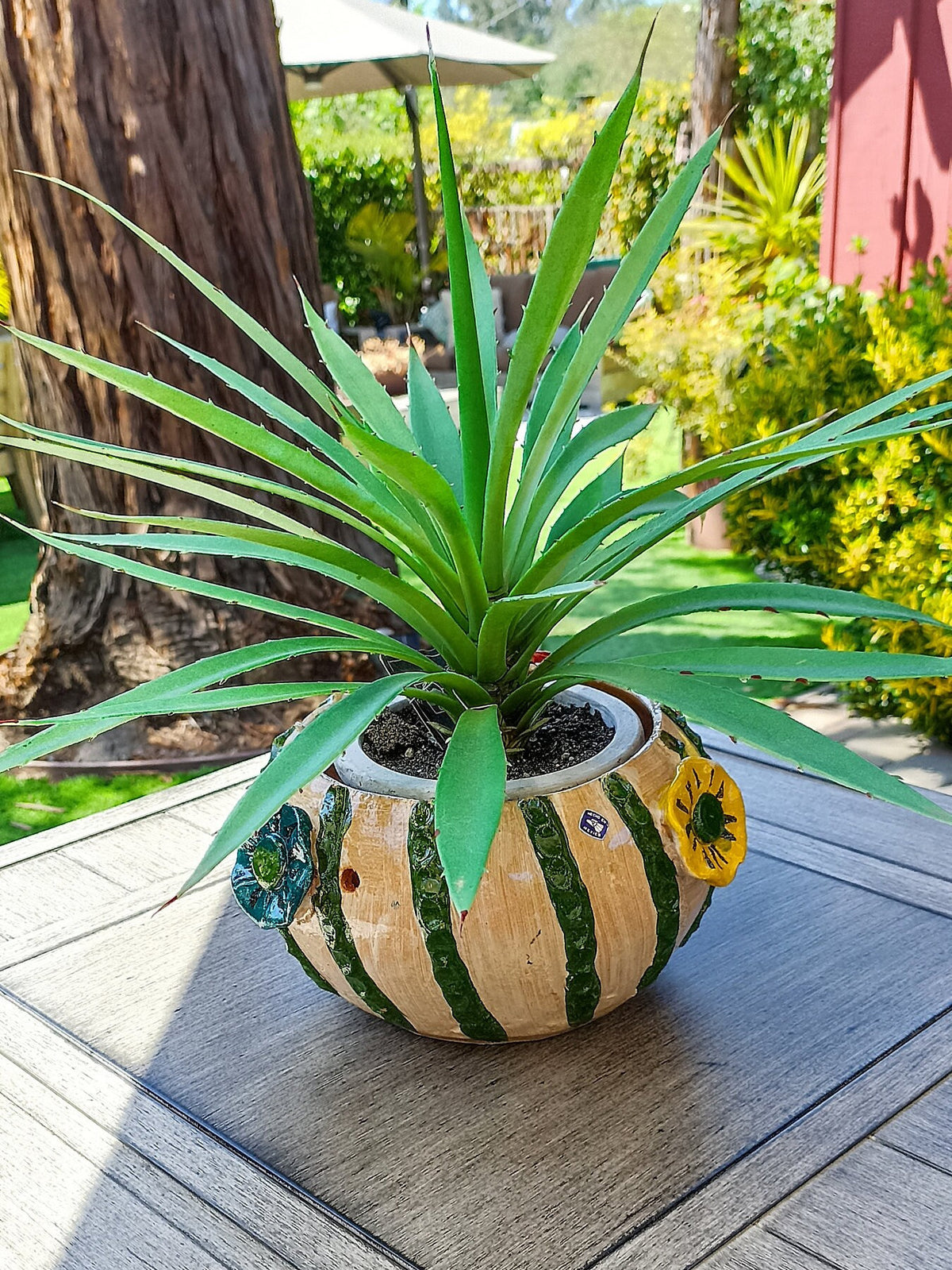 Cactus Flower Pot, Handmade Mexican Pottery from Atzompa, Mexico, Indoor Outdoor Home Decor, Charming Plant Pot w 3  Holes for Hanging