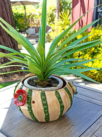 Cactus Flower Pot, Handmade Mexican Pottery from Atzompa, Mexico, Indoor Outdoor Home Decor, Charming Plant Pot w 3  Holes for Hanging