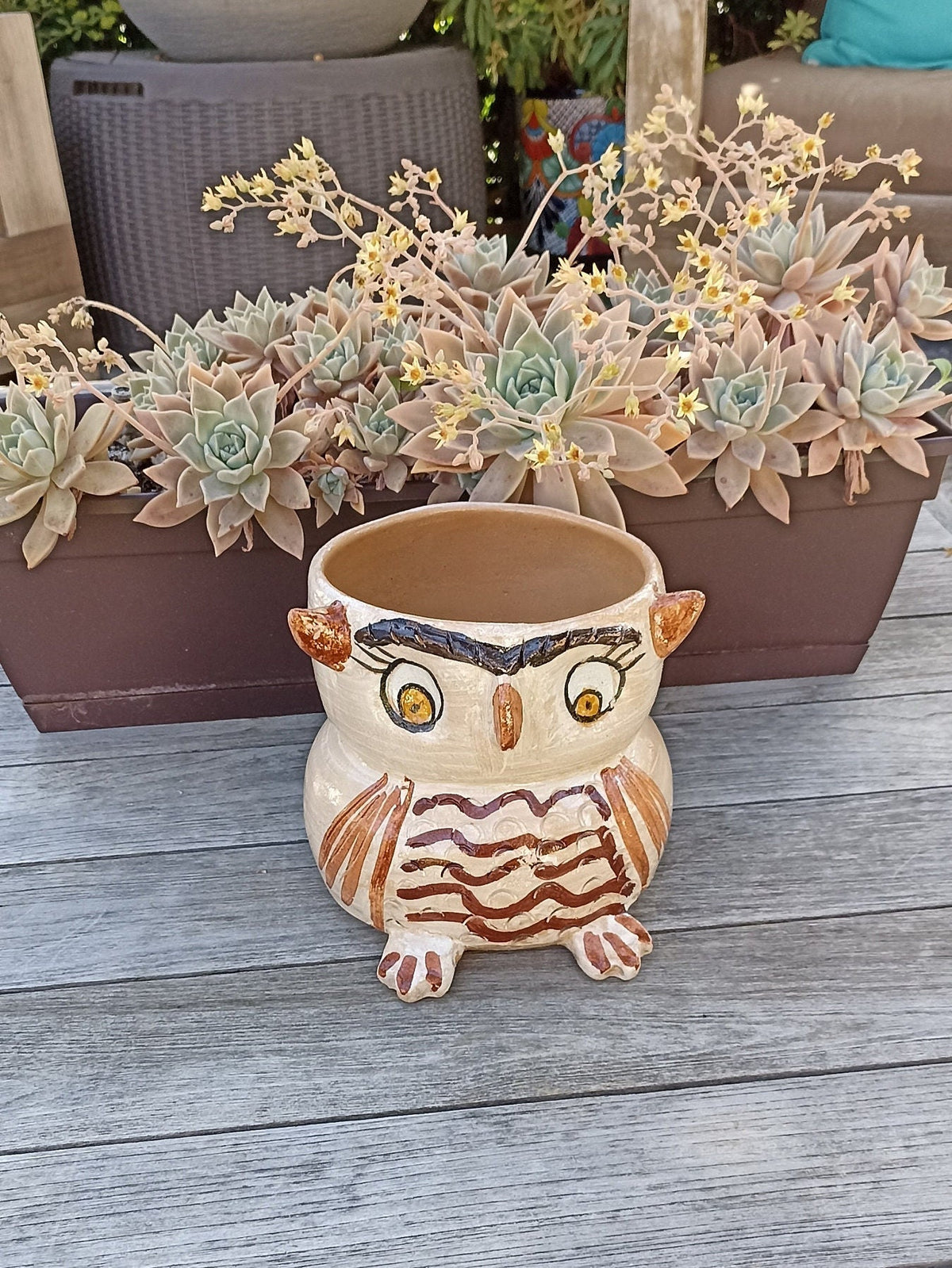 Ceramic Owl Planter, Flower Pot, Handmade Mexican Pottery from Atzompa, Mexico, Home Decor, Indoor or Outdoor Decor, Charming Plant Pot