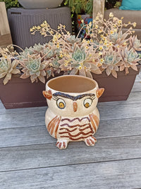 Ceramic Owl Planter, Flower Pot, Handmade Mexican Pottery from Atzompa, Mexico, Home Decor, Indoor or Outdoor Decor, Charming Plant Pot