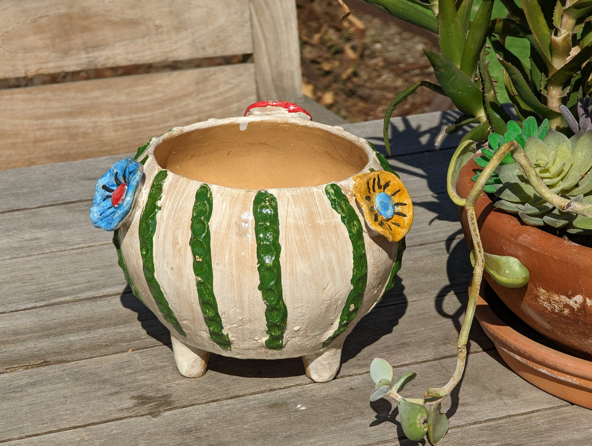 Ceramic Planter, Cactus Flower Pot, Handmade Mexican Pottery from Atzompa, Mexico, Home Decor, Indoor or Outdoor Decor, Charming Plant Pot