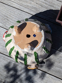 Ceramic Planter, Cactus Flower Pot, Handmade Mexican Pottery from Atzompa, Mexico, Home Decor, Indoor or Outdoor Decor, Charming Plant Pot