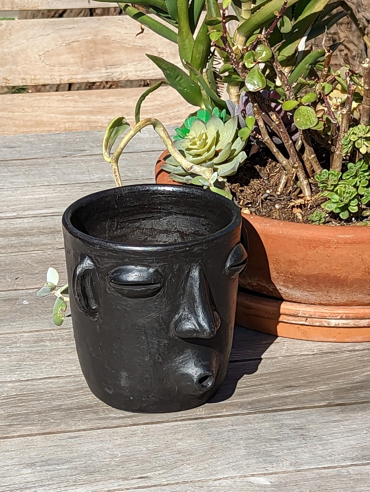 Whistler Planter, Clay Flower Pot, Handmade Mexican Pottery from Atzompa, Mexico, Home Decor, Indoor or Outdoor Decor, Barro Negro Plant Pot