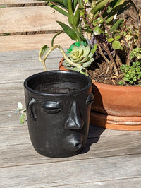 Whistler Planter, Clay Flower Pot, Handmade Mexican Pottery from Atzompa, Mexico, Home Decor, Indoor or Outdoor Decor, Barro Negro Plant Pot
