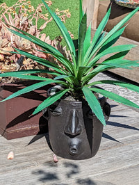 Whistler Planter, Clay Flower Pot, Handmade Mexican Pottery from Atzompa, Mexico, Home Decor, Indoor or Outdoor Decor, Barro Negro Plant Pot