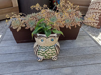 Ceramic Owl Planter, Flower Pot, Handmade Mexican Pottery from Atzompa, Mexico, Home Decor, Indoor or Outdoor Decor, Charming Plant Pot