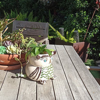 Ceramic Owl Planter, Flower Pot, Handmade Mexican Pottery from Atzompa, Mexico, Home Decor, Indoor or Outdoor Decor, Charming Plant Pot