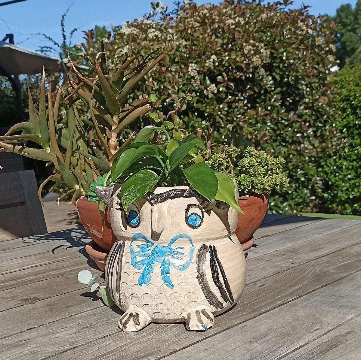 Ceramic Owl Planter, Flower Pot, Handmade Mexican Pottery from Atzompa, Mexico, Home Decor, Indoor or Outdoor Decor, Charming Plant Pot