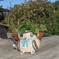 Ceramic Owl Planter, Flower Pot, Handmade Mexican Pottery from Atzompa, Mexico, Home Decor, Indoor or Outdoor Decor, Charming Plant Pot