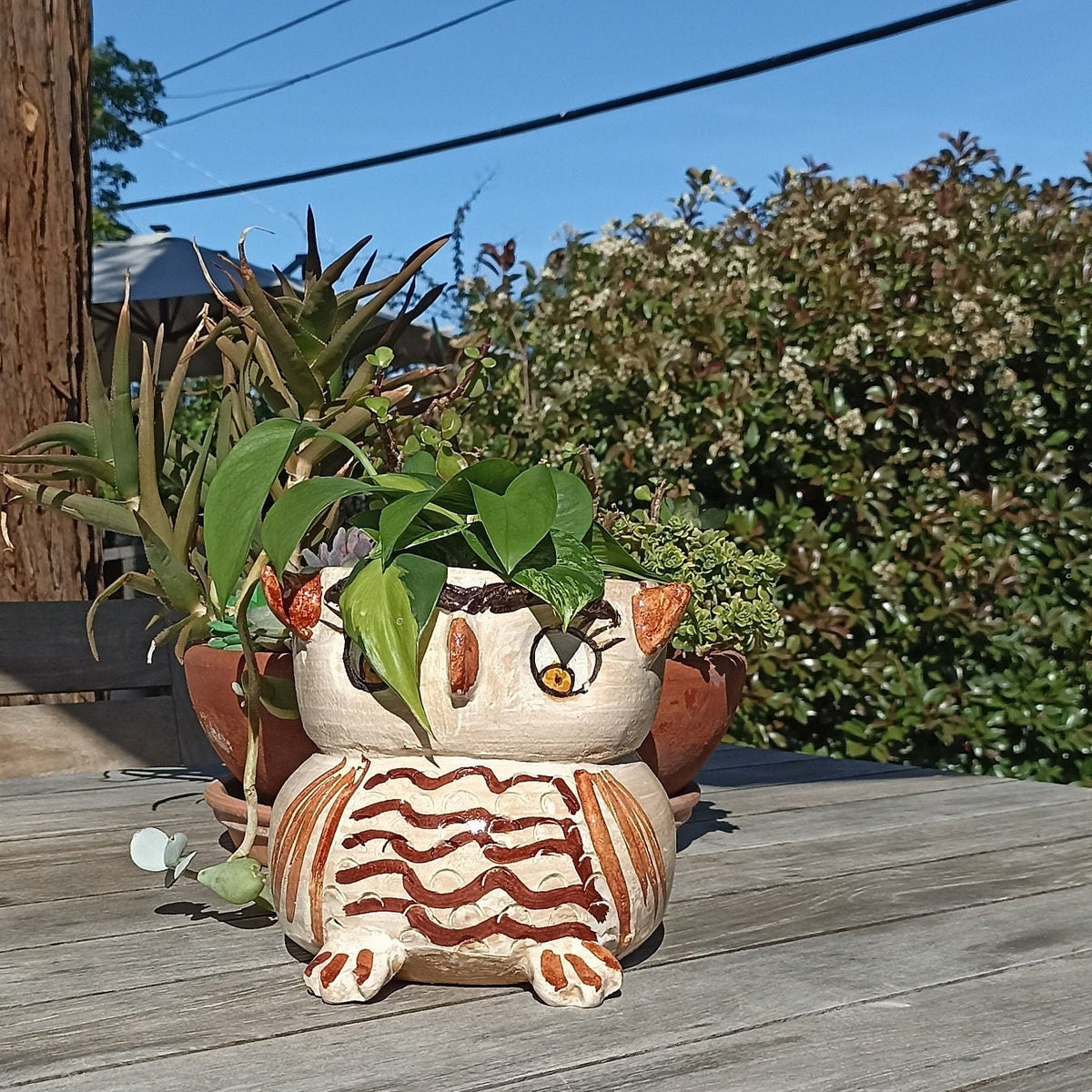 Ceramic Owl Planter, Flower Pot, Handmade Mexican Pottery from Atzompa, Mexico, Home Decor, Indoor or Outdoor Decor, Charming Plant Pot