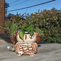Ceramic Owl Planter, Flower Pot, Handmade Mexican Pottery from Atzompa, Mexico, Home Decor, Indoor or Outdoor Decor, Charming Plant Pot
