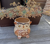 Ceramic Owl Planter, Flower Pot, Handmade Mexican Pottery from Atzompa, Mexico, Home Decor, Indoor or Outdoor Decor, Charming Plant Pot