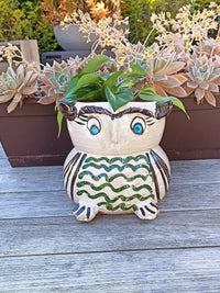Ceramic Owl Planter, Flower Pot, Handmade Mexican Pottery from Atzompa, Mexico, Home Decor, Indoor or Outdoor Decor, Charming Plant Pot