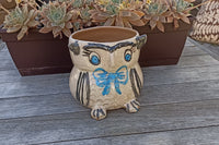 Ceramic Owl Planter, Flower Pot, Handmade Mexican Pottery from Atzompa, Mexico, Home Decor, Indoor or Outdoor Decor, Charming Plant Pot