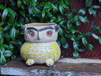 Ceramic Owl Planter & Flower Pot | Handmade Mexican Pottery from Atzompa, Mexico is Indoor or Outdoor Home or Yard Decor, Adorable Plant Pot