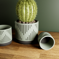 Heritage Succulent Planter With Drip Tray, Unique Flower Pot Home Decor, Housewarming Gift for Her, Large, Muted White Color